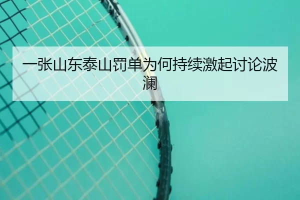 一张山东泰山罚单为何持续激起讨论波澜